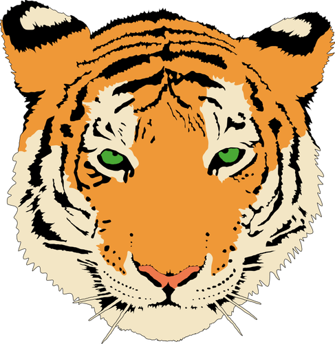 Clip-art vector da cabeÃ§a do tigre jovem