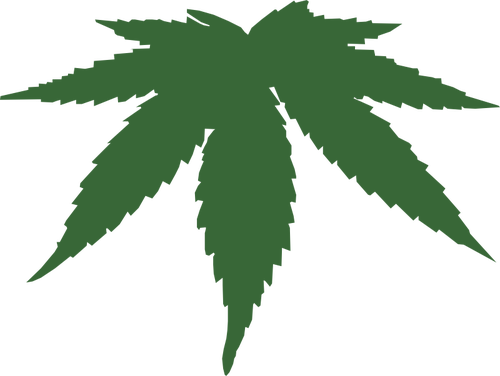 Cannabis-Blatt-Farbe-Vektor-Bild