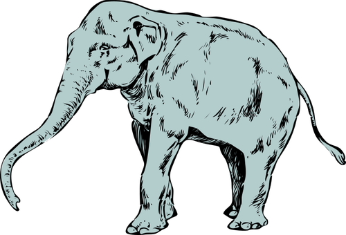 Clipart vectorial de elefante joven azul