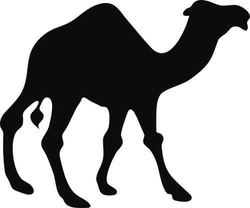 Camel silhouette vector image