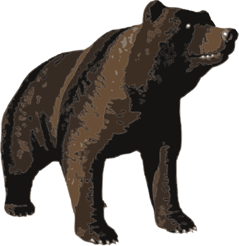 Vector de la imagen del enorme oso pardo