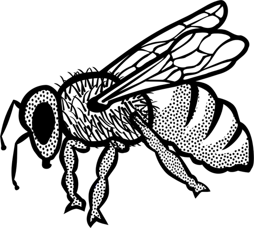 Vetor de esboÃ§o, desenho de abelha