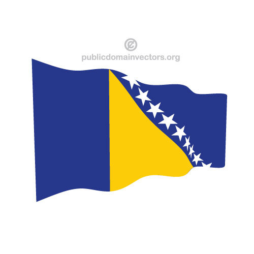 Agitant le drapeau de la Bosnie-HerzÃ©govine