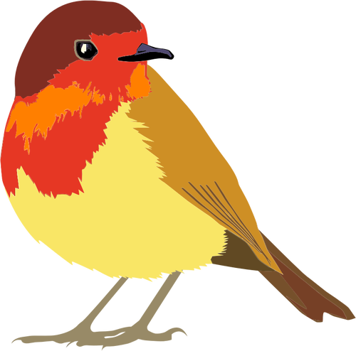 Afbeeldingen van rode en bruine vogels