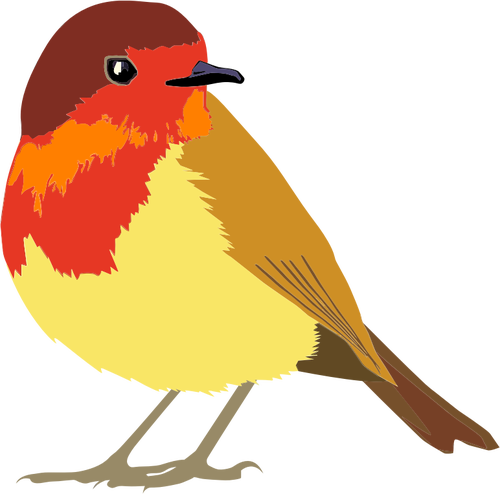 Afbeeldingen van rode en bruine vogels