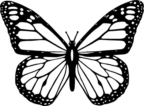 Vector clipart de papillon noir et blanc avec de larges ailes