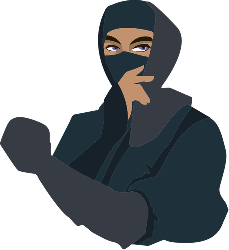BlÃ¥-eyed ninja