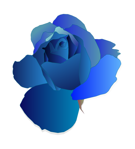 Blaue rose