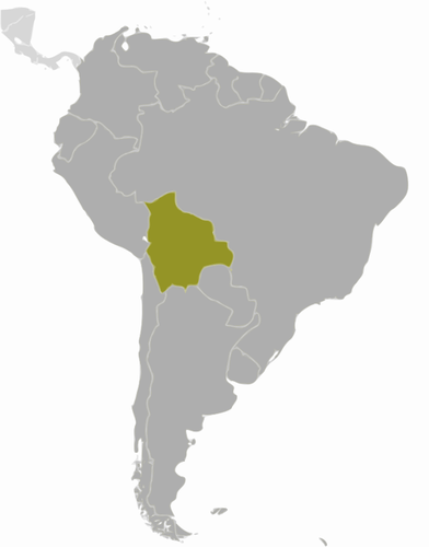 Carte de Bolivie