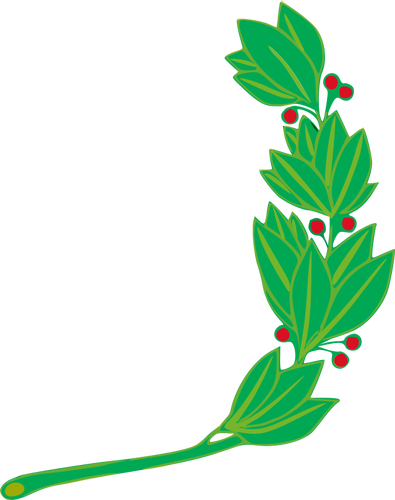 Mistletoe cabang
