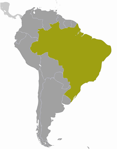 BrazÃ­lie umÃ­stÄ›nÃ­ mapa vektorovÃ¡ kresba