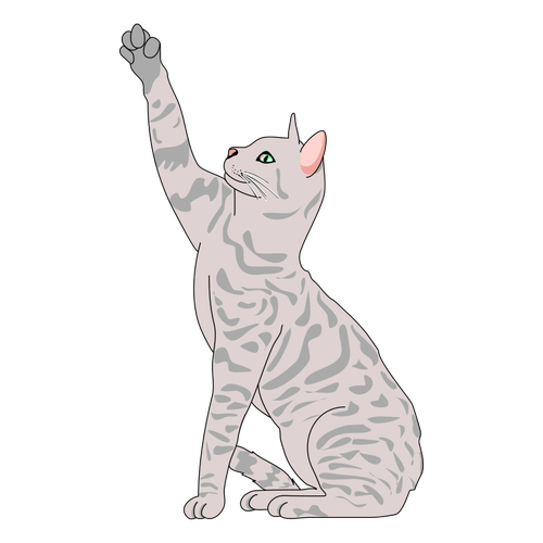 Illustration vectorielle de chat