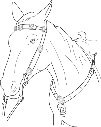 IlustraciÃ³n vectorial de cabeza de caballo con plomo
