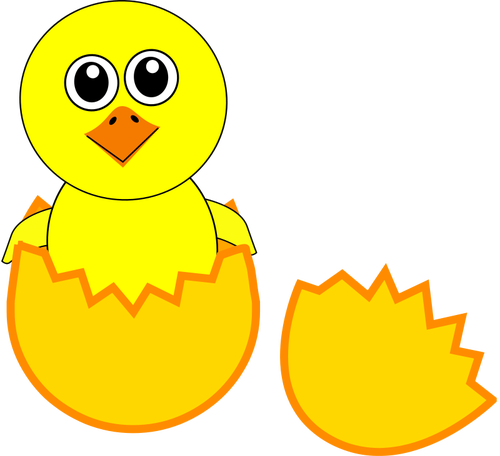 Newborn chick vector image