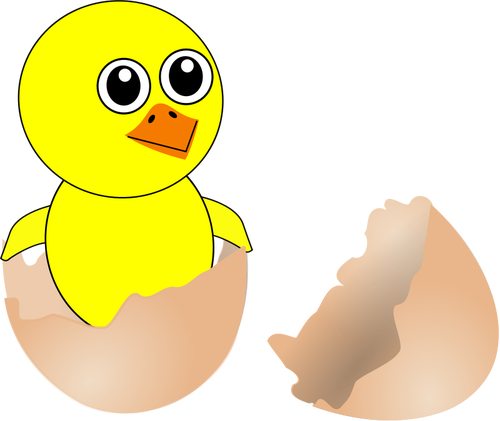 NyfÃ¸dte kylling i eggeskallet vektor image