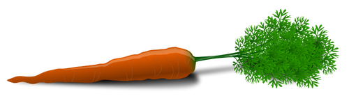Vector afbeelding van een wortel