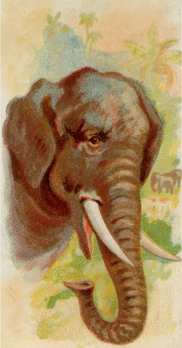 IlustraciÃ³n del elefante