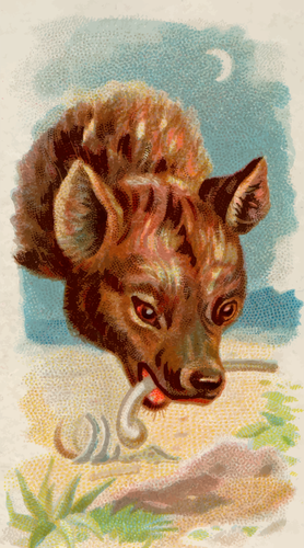 Hyena makan