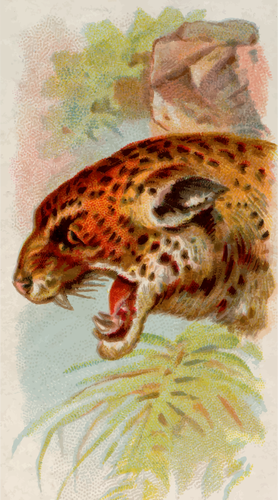 Ilustracja Jaguar