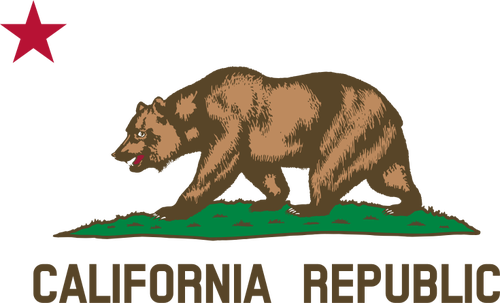 Detail van de vlag van CaliforniÃ« Republiek vector afbeelding