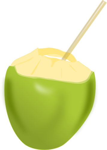 Kokos met een stro vector illustraties