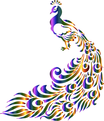 Imagem vetorial de pavÃ£o colorido