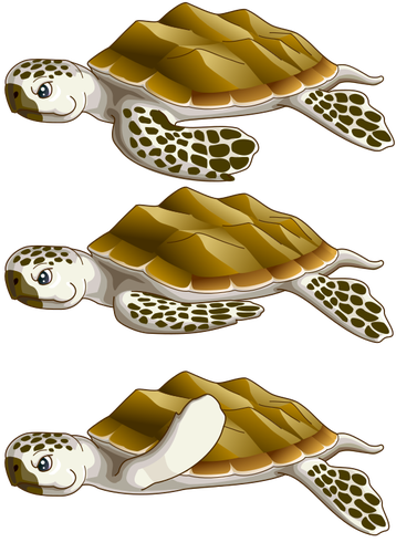 Zeeschildpadden