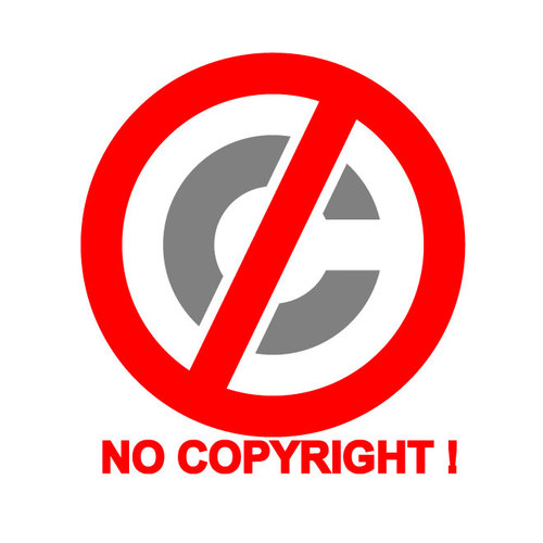 Nenhum sÃ­mbolo de direitos autorais