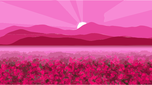 Rosa illustrasjon av blomstrende feltet