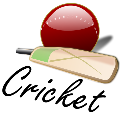 Cricket bat og ball vektor image