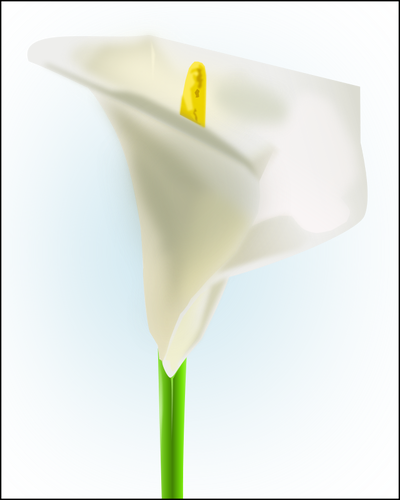 Grafika wektorowa kwiatu Lilli