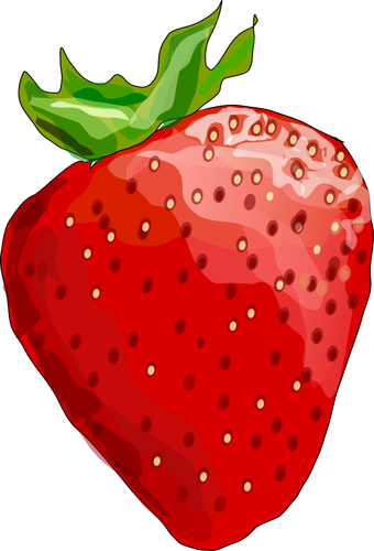 Vektor-Illustration der glÃ¤nzenden Erdbeere