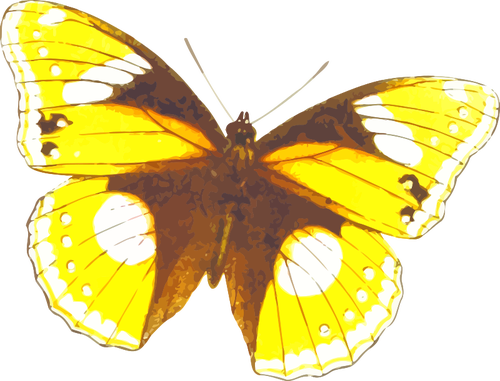 Fluture galben
