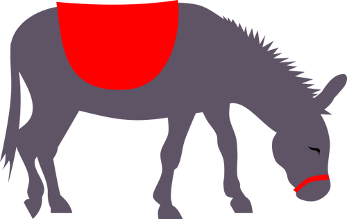 Warna-warni digembalakan keledai