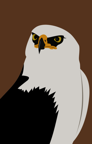 Eagle sketsa