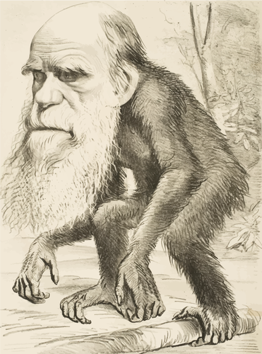 Macaco de Charles Darwin