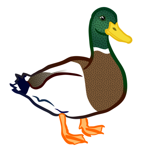 Mannlige duck