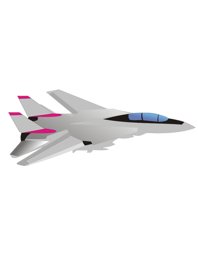 Grumman F-14 Tomcat flygplan vektorbild
