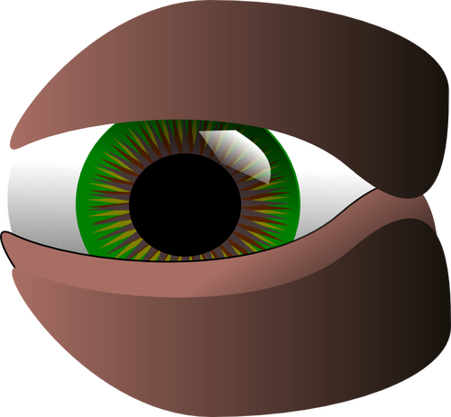 Vektor-ClipArts von grÃ¼nes Auge