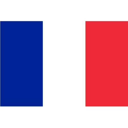 Vector bandera francesa