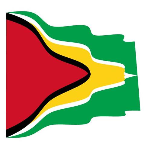 Ondulado bandera de Guyana