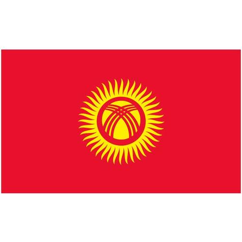 Vector flag of Kyrgyzstan
