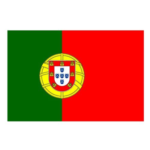 Bandiera vettoriale del Portogallo