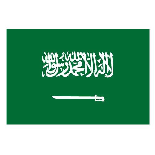 Vlag van Saoedi-ArabiÃ«