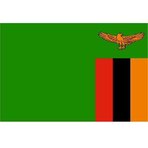 Vector bandeira da ZÃ¢mbia