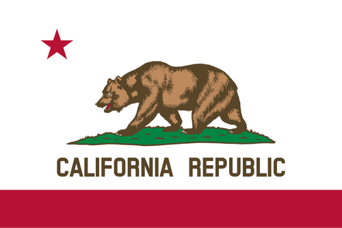 Flaga Republiki Kalifornii wektor wyobraÅ¼enie o osobie