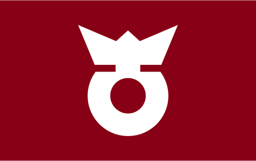 Flag of Koza, Wakayama