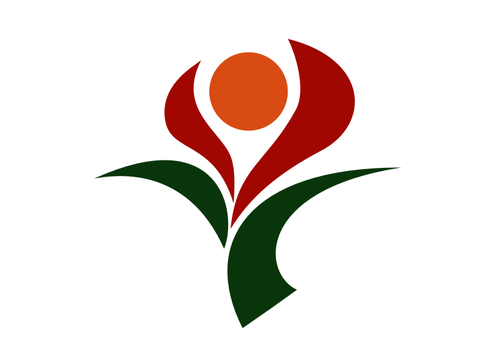Bandiera di cosÃ¬, Kagoshima
