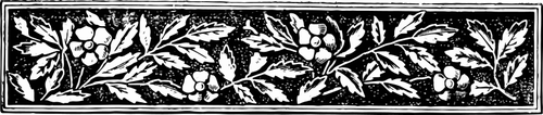 Horizontal floral banner vector illustration
