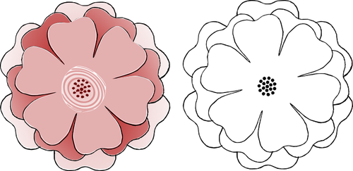 Duas flores
